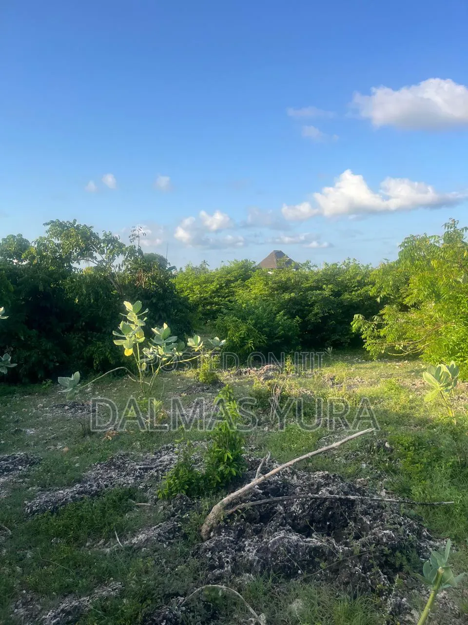 An Acre of Land in Watamu