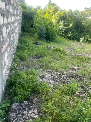 An Acre of Land in Watamu