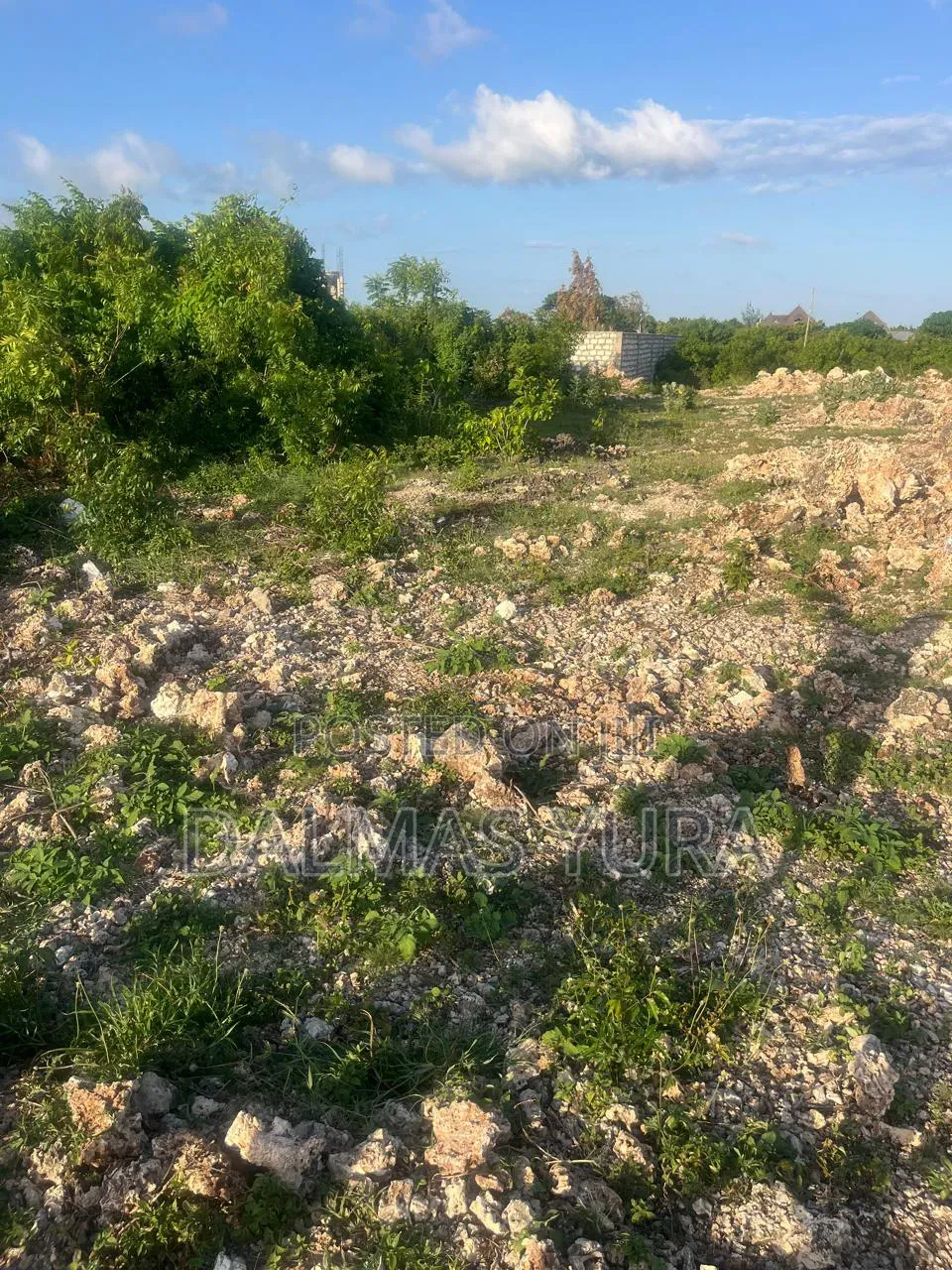 An Acre of Land in Watamu