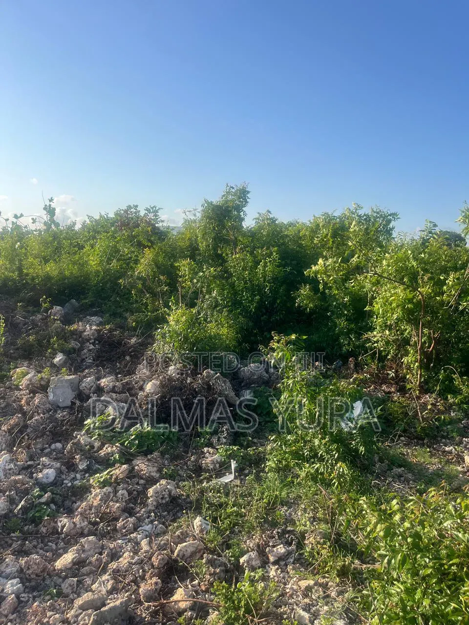 An Acre of Land in Watamu