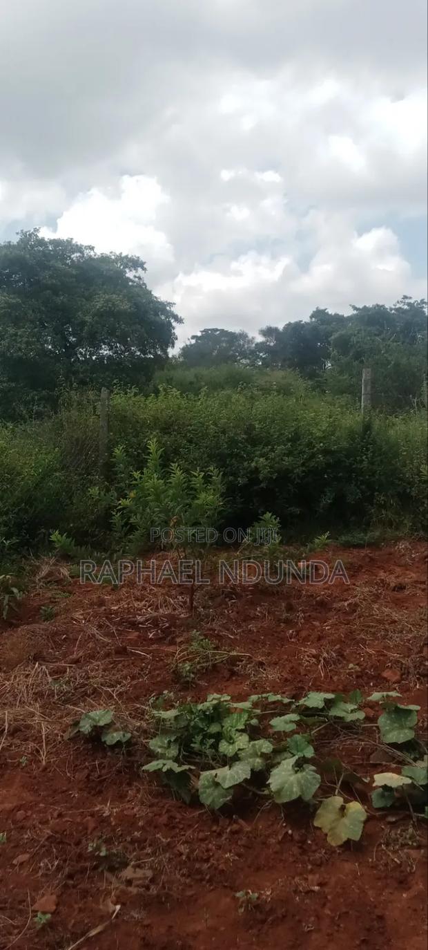 Land On Sale - main view