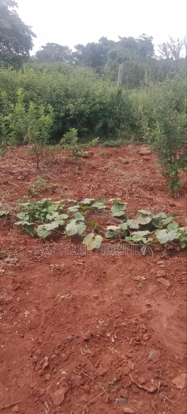 Land On Sale - thumbnail 2