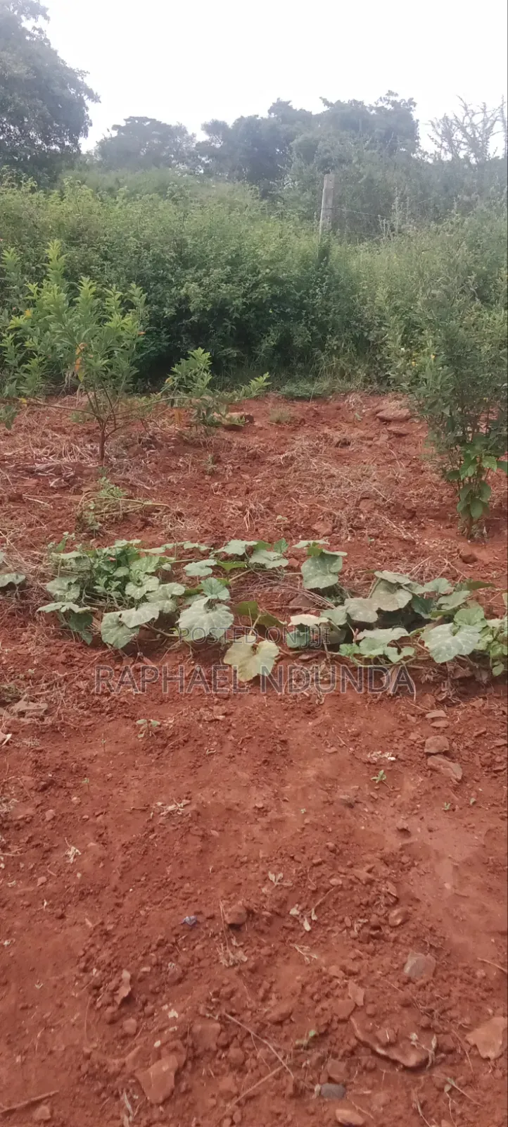 Land on Sale - Kithimani, Yatta