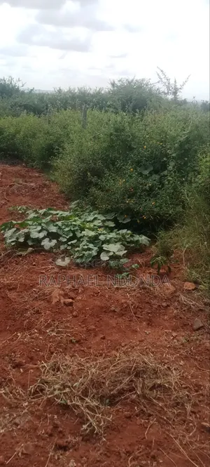Land on Sale - Kithimani, Yatta