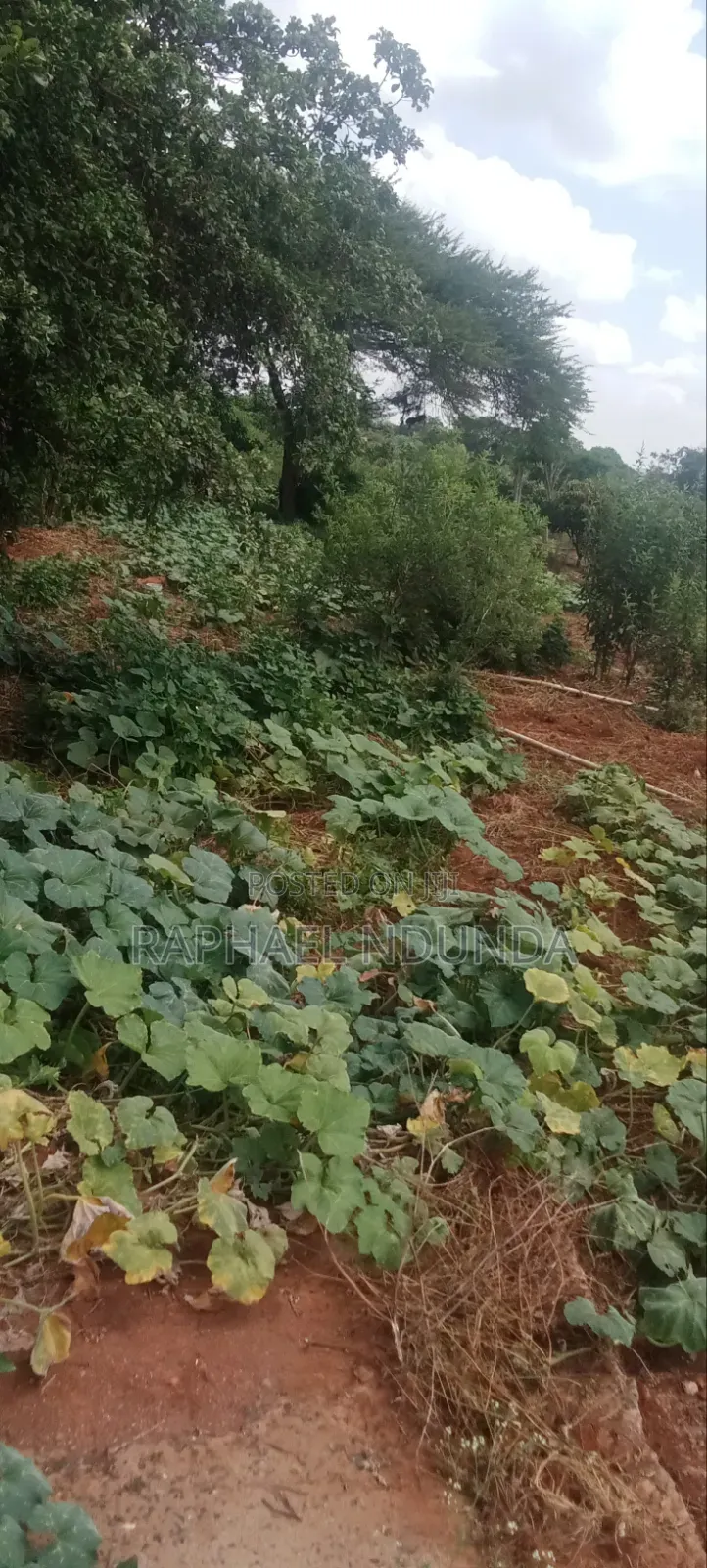 Land on Sale - Kithimani, Yatta