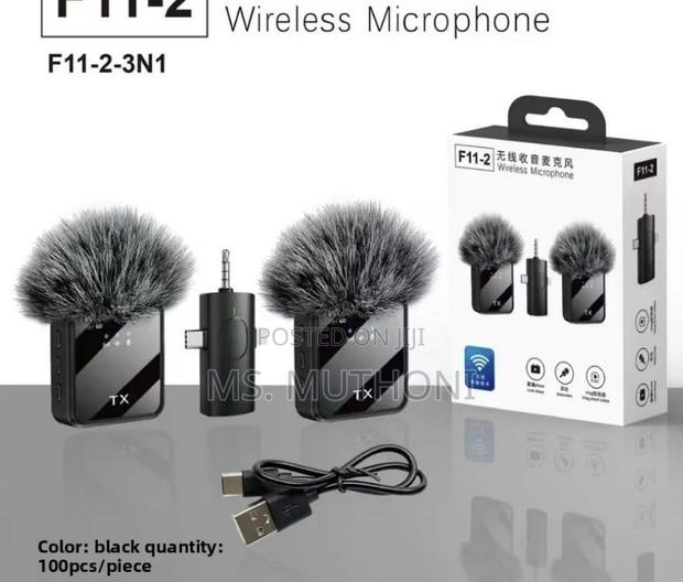 Dual Microphones Clip On Lavalier Rechargeable Wireless Microphone