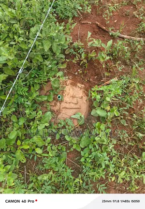 50*100 Plot at Kithyoko Mbakini Centre