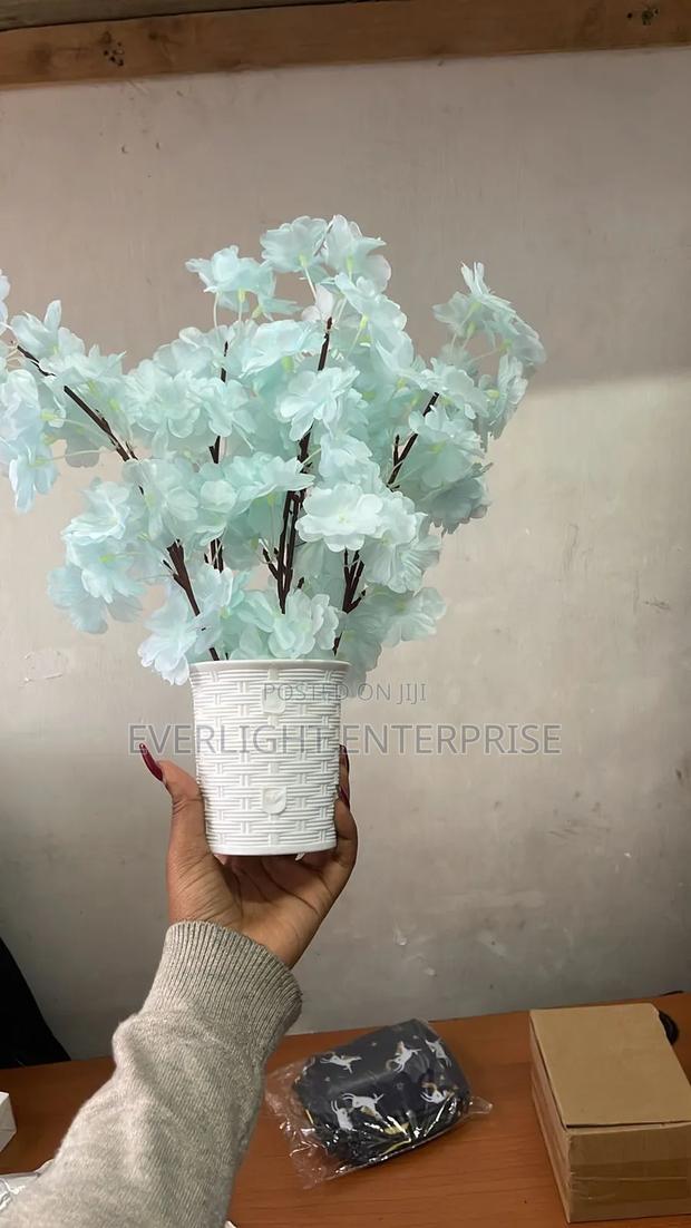 *Cherry Blossom Flowers - thumbnail 2