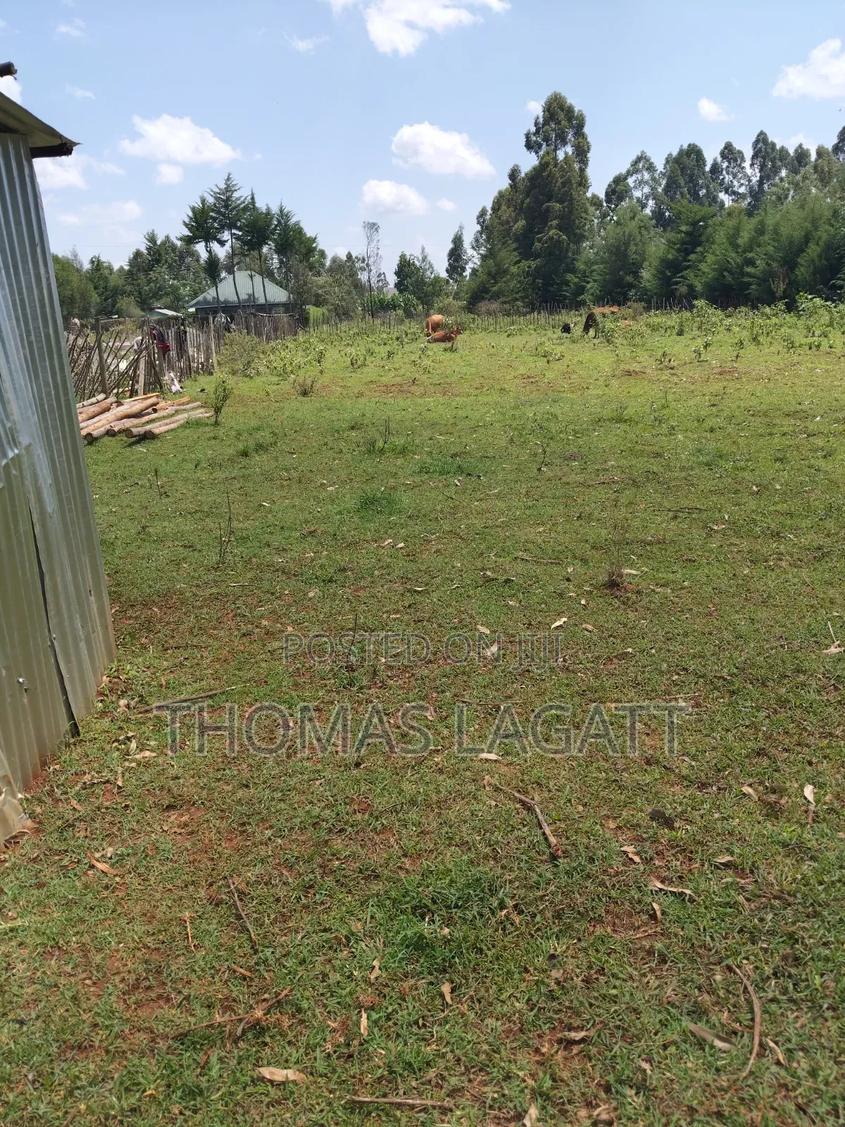 Eldoret Kipkenyo 3 Plots on Sale