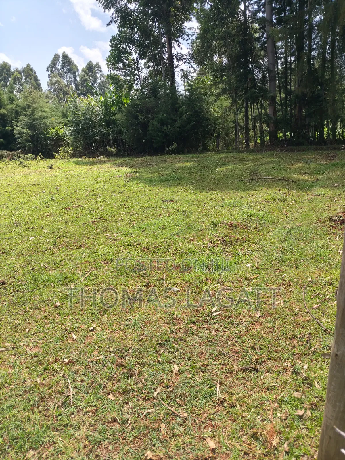 Eldoret Kipkenyo 3 Plots on Sale