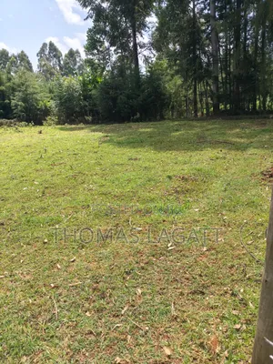 Eldoret Kipkenyo 3 Plots on Sale