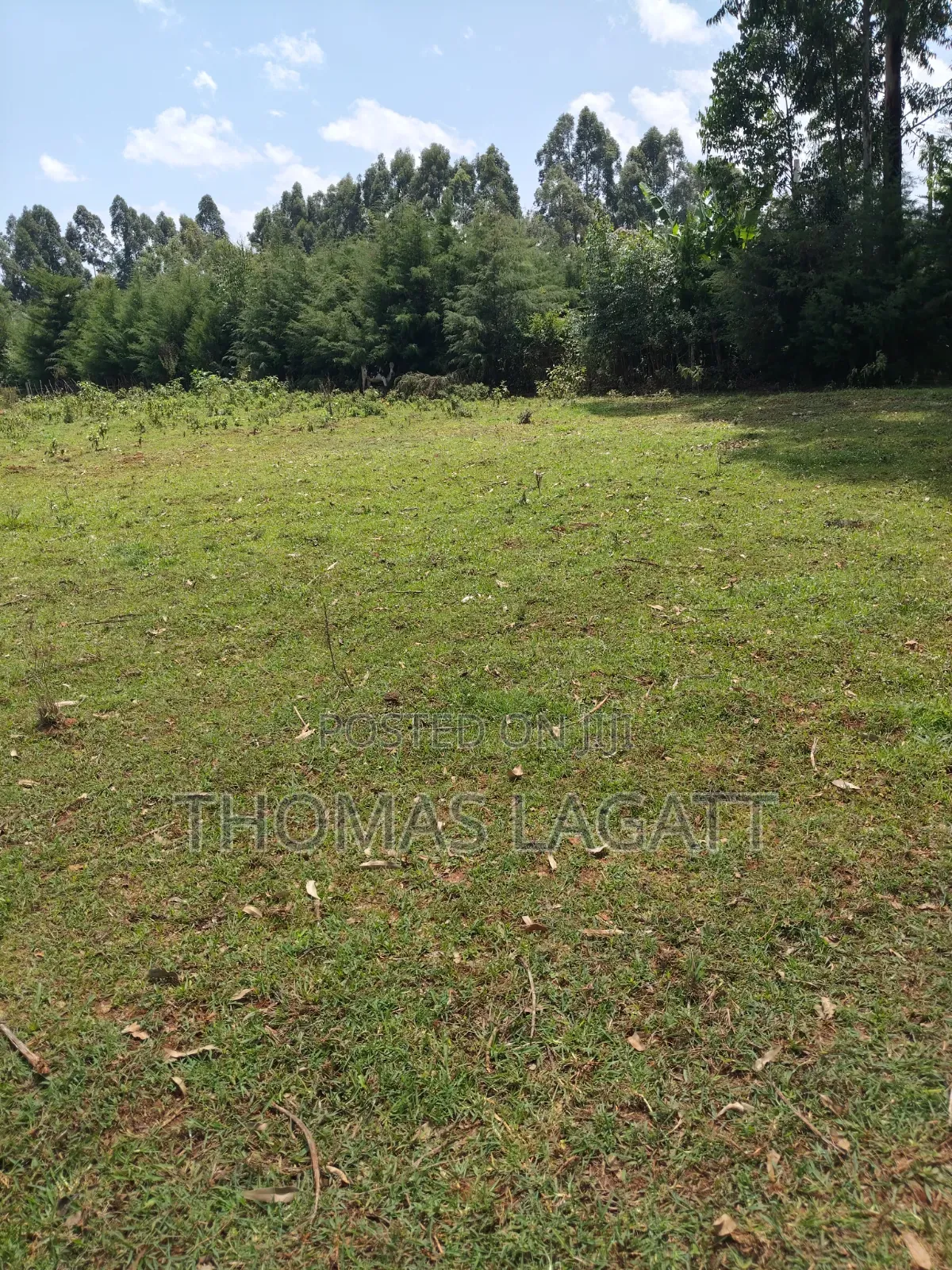 Eldoret Kipkenyo 3 Plots on Sale