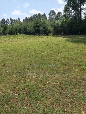 Eldoret Kipkenyo 3 Plots on Sale