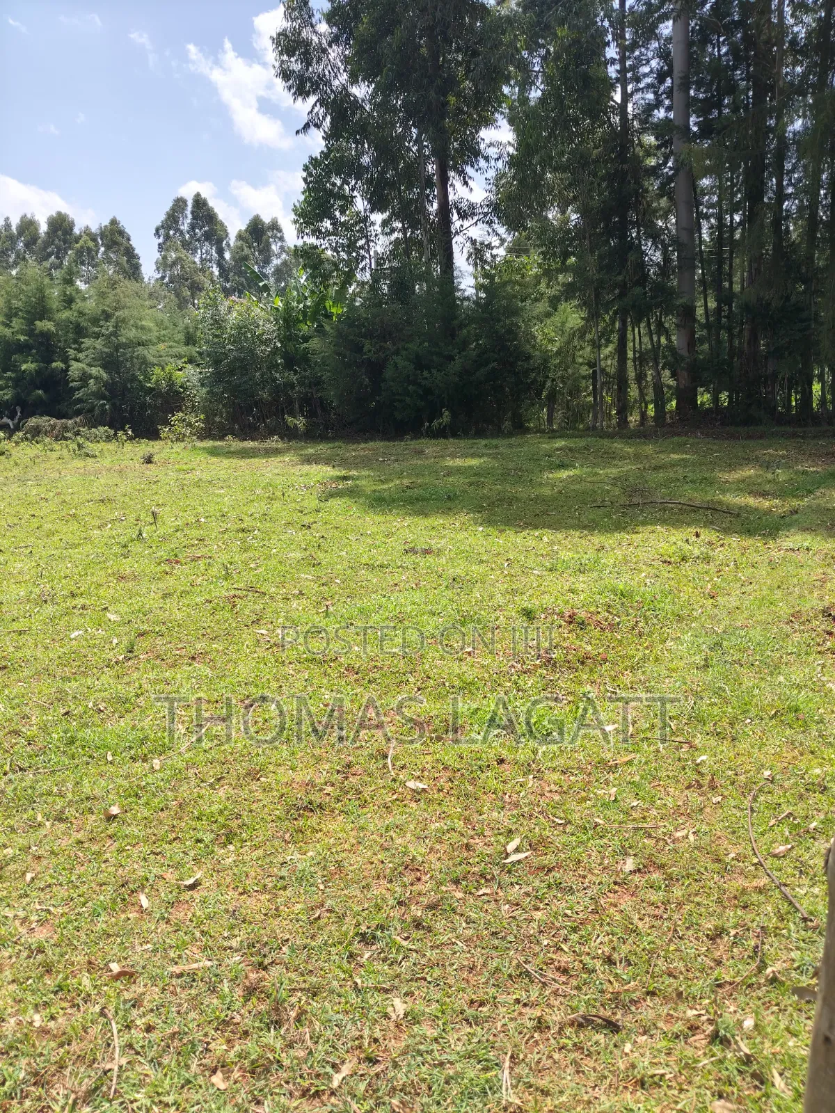 Eldoret Kipkenyo 3 Plots on Sale