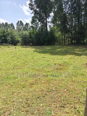 Eldoret Kipkenyo 3 Plots on Sale