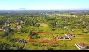 Kenol Plots