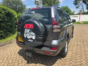 Toyota Land Cruiser Prado 2007 Gray