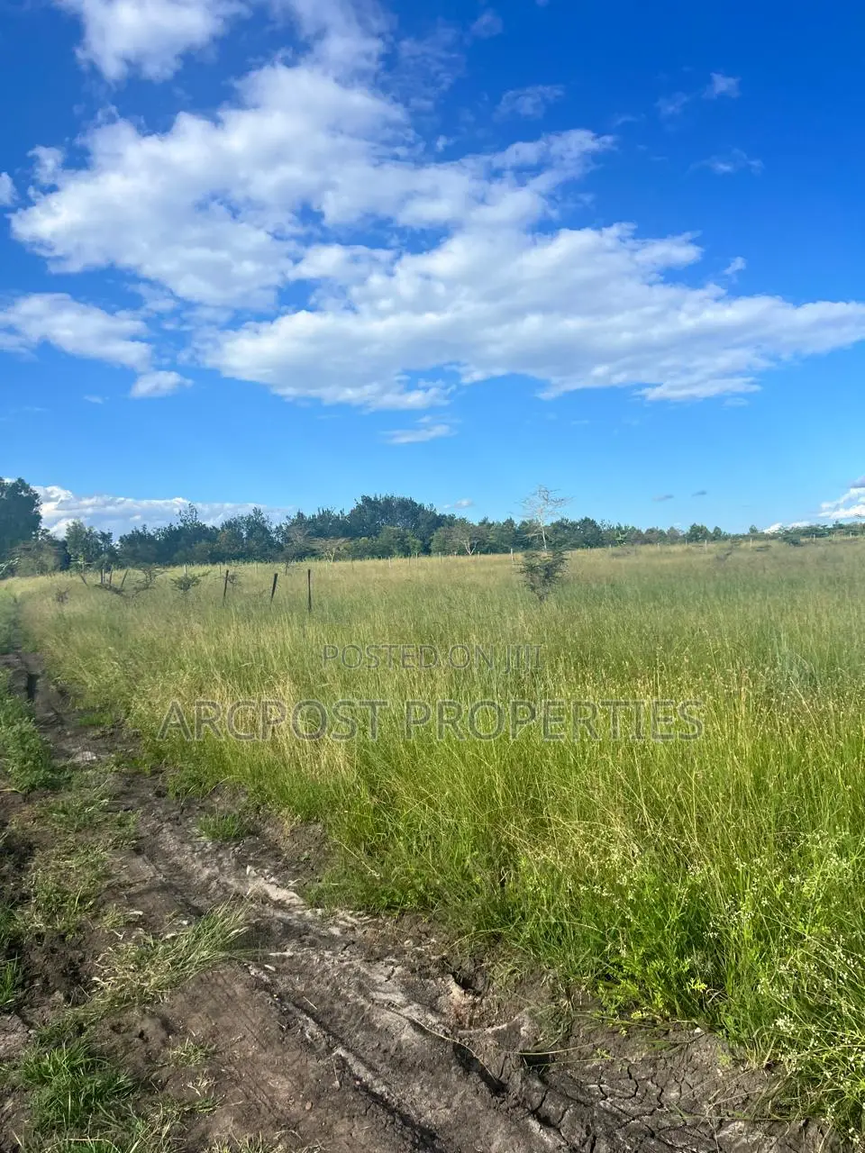Prime 2.25 Acres Land for Sale in Joska Sunshine Distress Sale