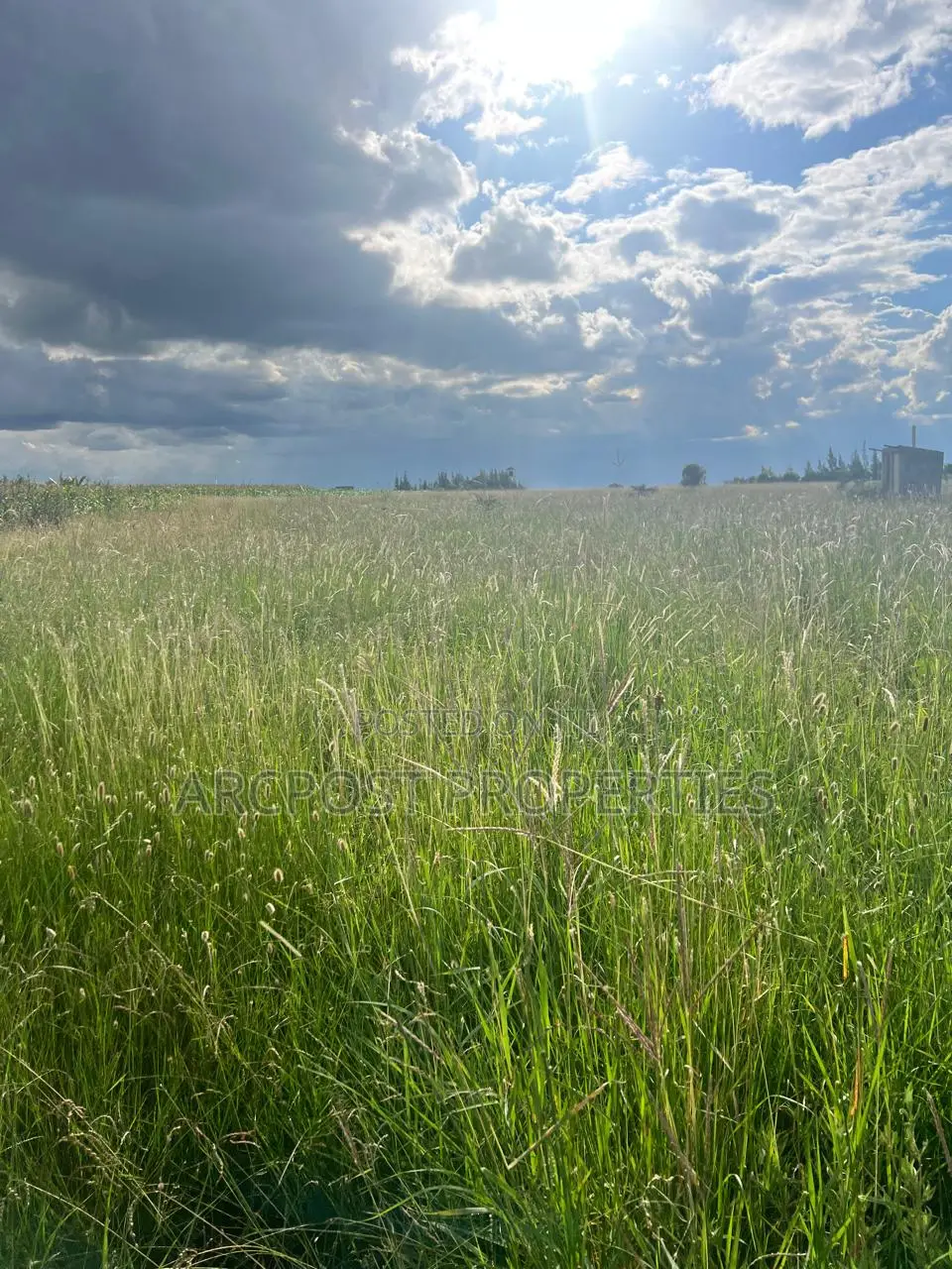 Prime 2.25 Acres Land for Sale in Joska Sunshine Distress Sale