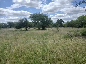 Avenue Land Ventures
