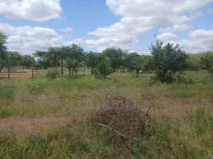 Avenue Land Ventures