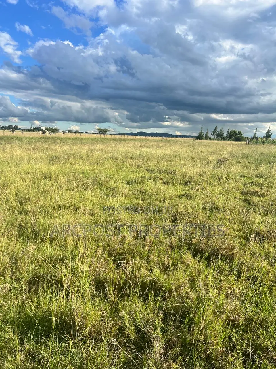 Prime 50x100 Residential Plot for Sale in Joska Sunshine