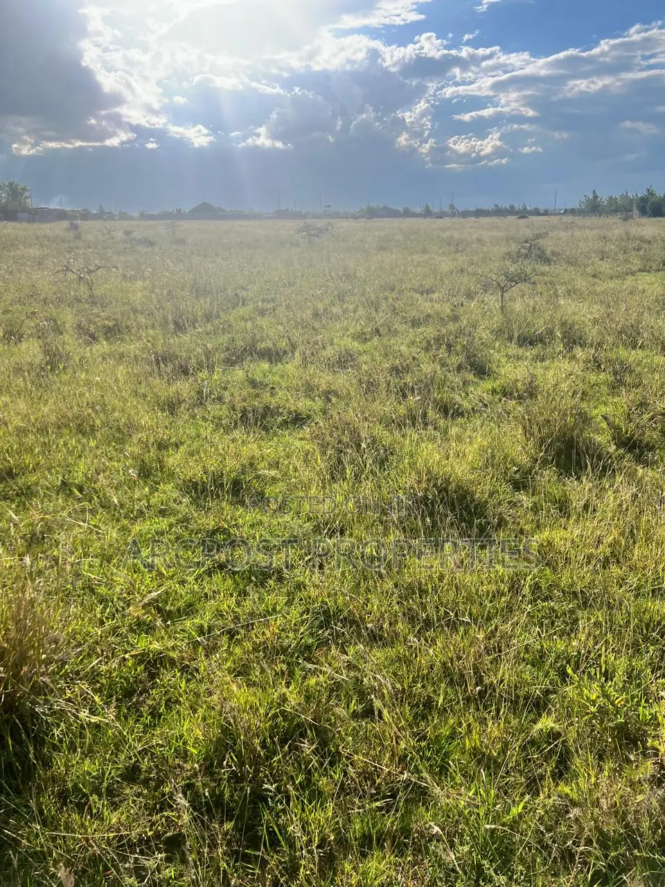 Prime 50x100 Residential Plot for Sale in Joska Sunshine