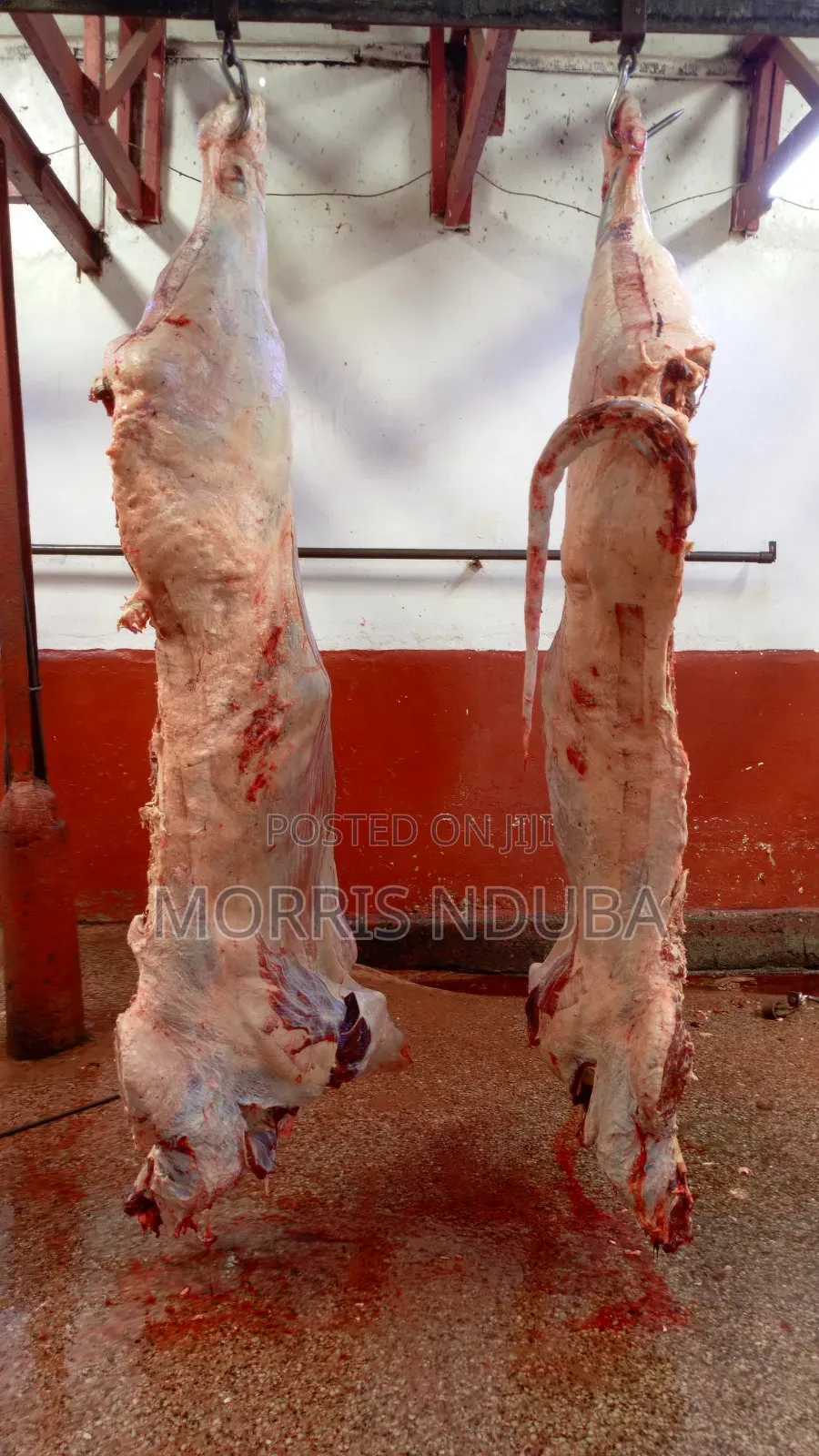 Beef, Stake, Mince Meat, Kichwa Ya Ng'ombe