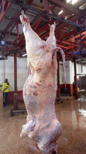 Beef, Stake, Mince Meat, Kichwa Ya Ng'ombe