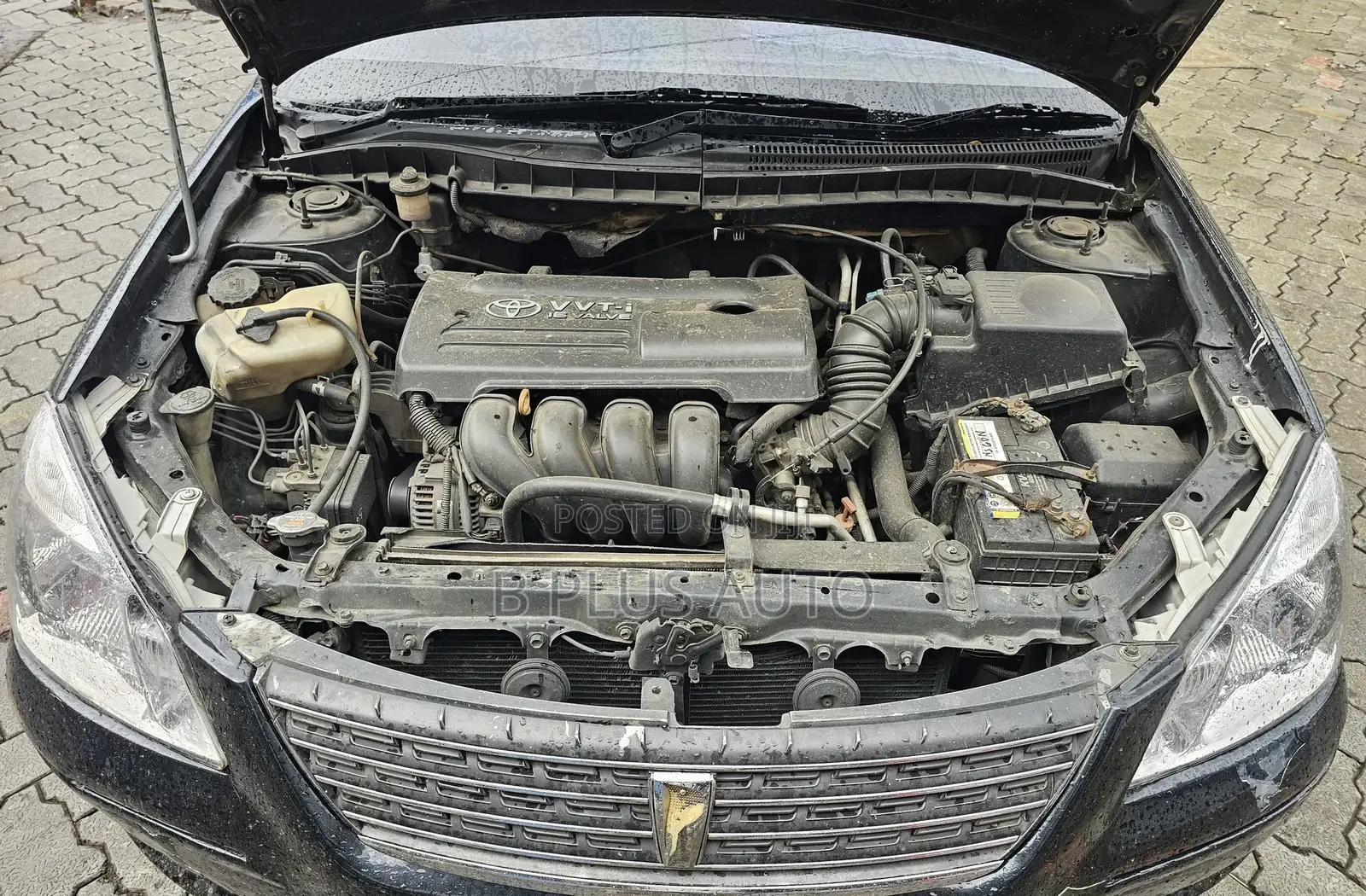 Toyota Premio 2006 Black