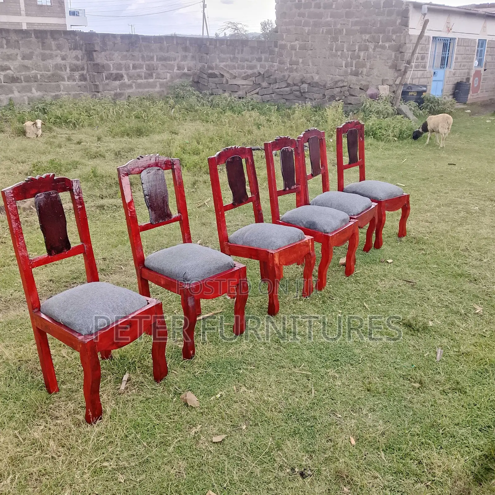 Brown Dinning Chairs Sets