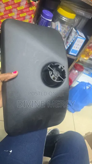 Fuso F1 Side Mirror
