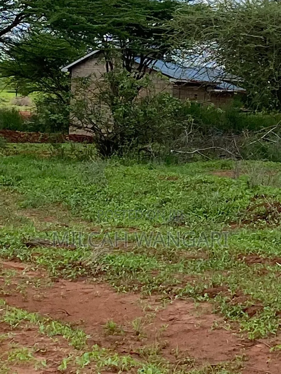 50*100 at Kithyoko Mbakini Centre