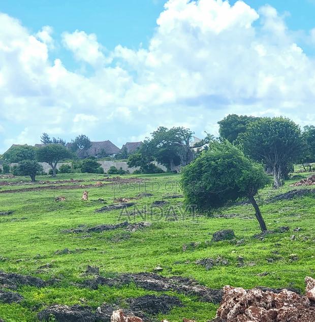 Prime Beach Plots for Sale in Malindi, Casuarina