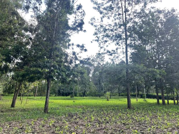 5 Acres in Karen - thumbnail 3