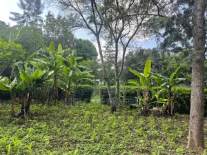 5 Acres in Karen