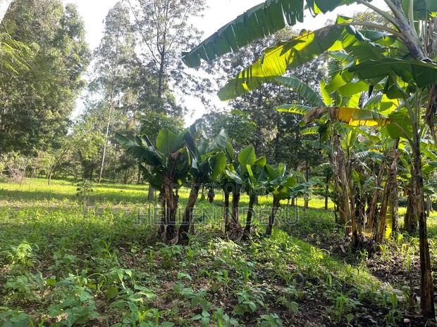 5 Acres in Karen - thumbnail 6