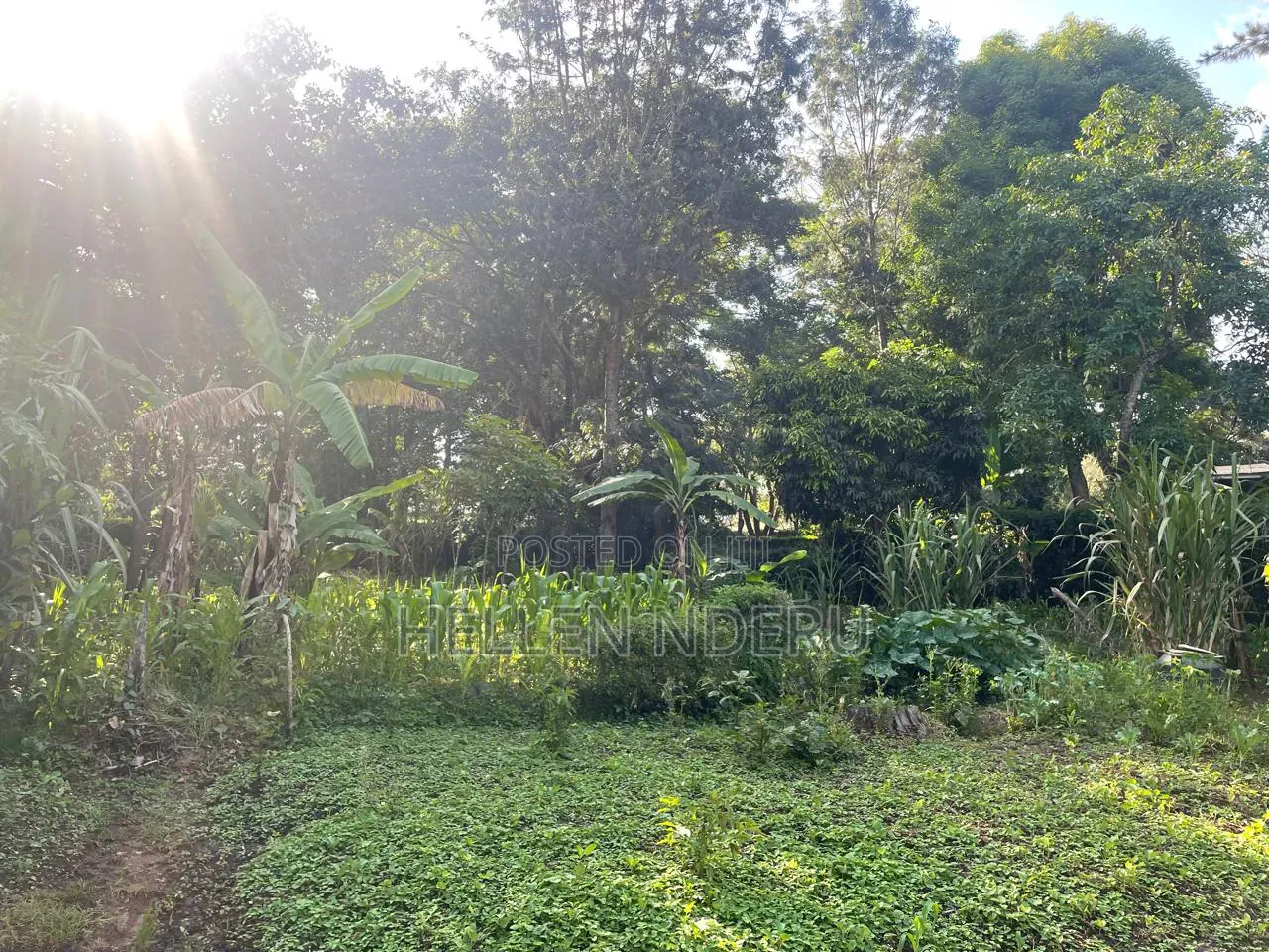 5 Acres in Karen