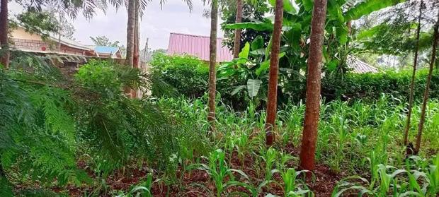 Juja Tola Kiahuria 100 X100 Plot - thumbnail 2