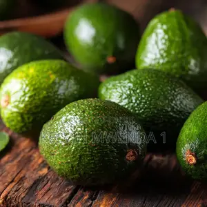 Avocados Ripe And Unripe