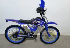 Premier Racing Bike Size 20'