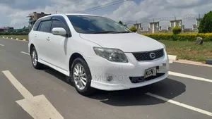 Toyota Corolla Fielder 2010 White