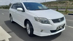 Toyota Corolla Fielder 2010 White