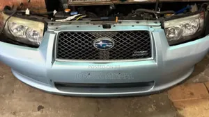 Subaru Forestor Nose Cut