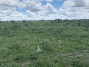 Prime 1/4 Acre Piece of Land for Sale at Malaa