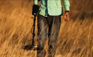 Metal Detecting Services