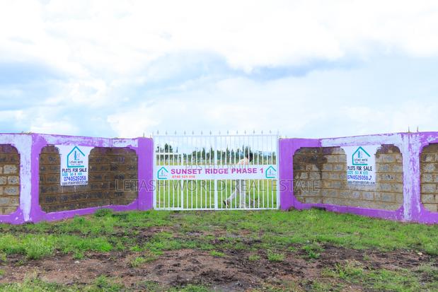 50 by 100 Prime Plots in Joskja Mutlia