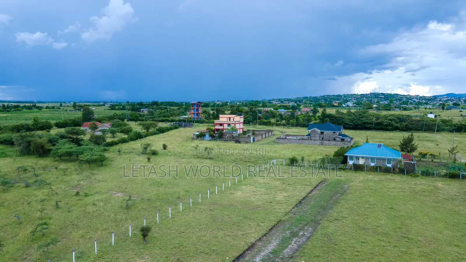 50 by 100 Prime Plots in Joskja Mutlia