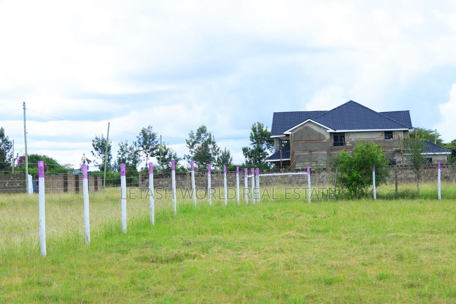 50 by 100 Prime Plots in Joskja Mutlia