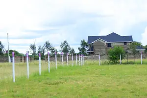 50 by 100 Prime Plots in Joskja Mutlia